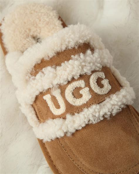 How to Clean Ugg Slippers: 5 Tips on Cleaning Ugg Slippers